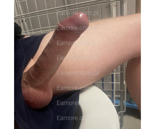 Pokazy skype, whatsapp Holandia