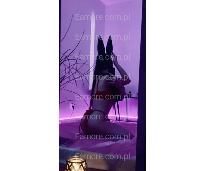 Pani szuka pana (komunikatory) Katowice