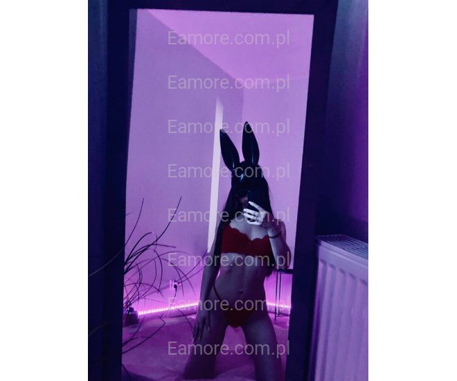 Pani szuka pana (komunikatory) Katowice