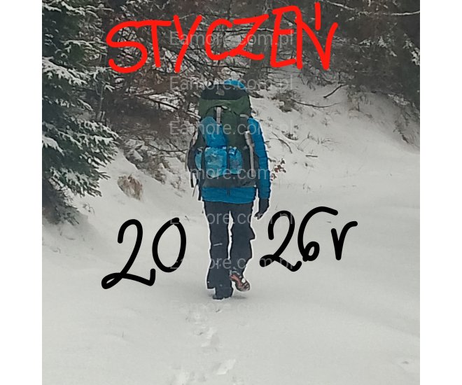 Pani szuka pana Katowice