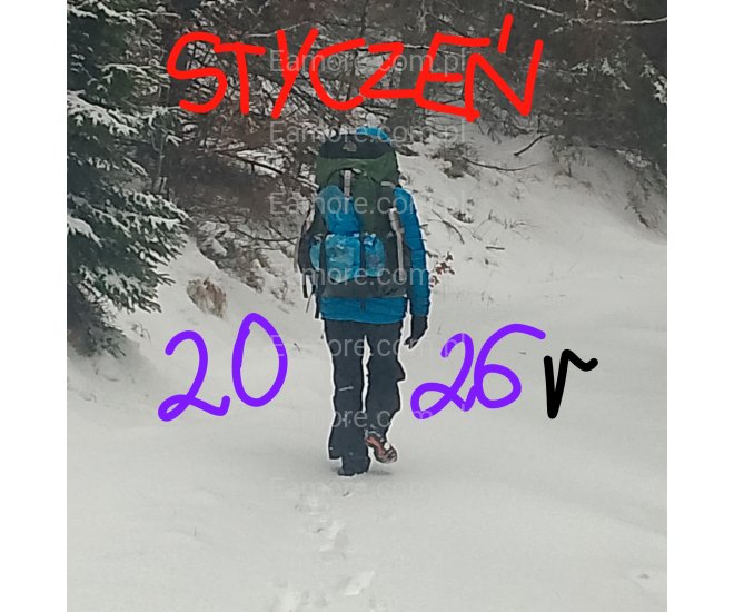 Pani szuka pana Warszawa