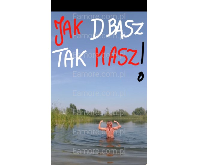 Pani szuka pana Gliwice