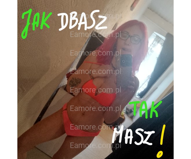 Pani szuka pana Opole