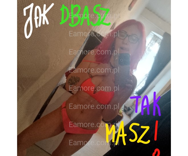 Pani szuka pana Gliwice