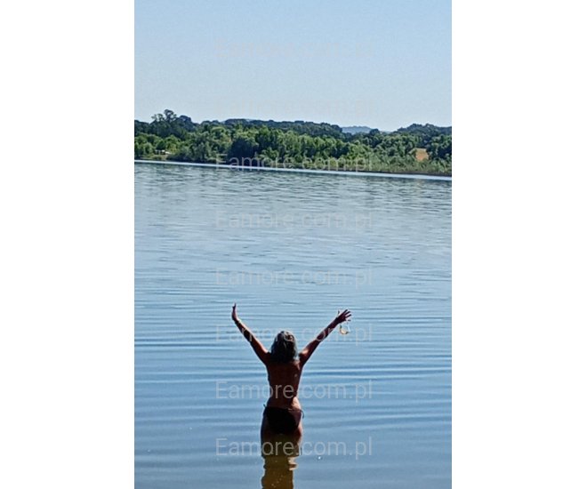 Pani szuka pana Katowice