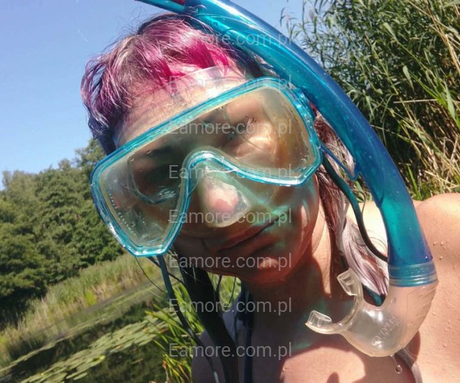 Pani szuka pana Śląskie