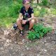 Pani szuka pana Opole
