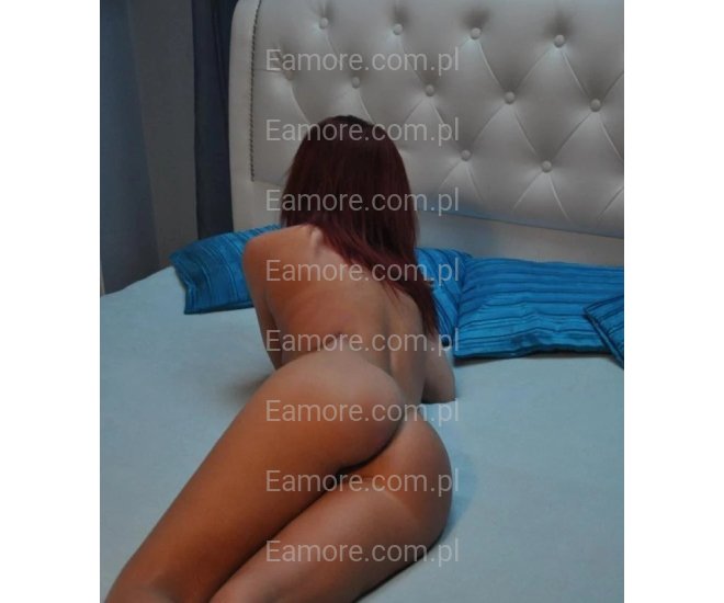 Pani szuka pana Katowice