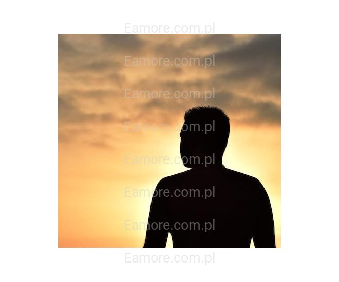 Pan szuka pani Piotrków Trybunalski