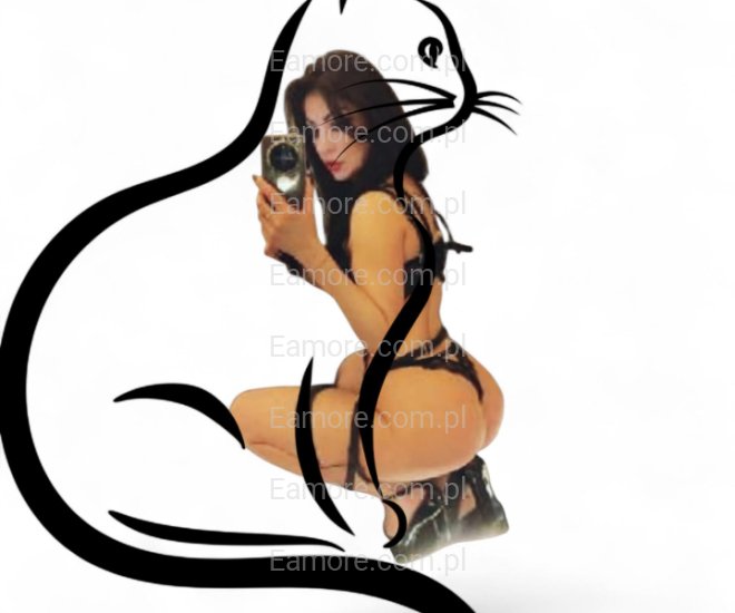 Pani szuka pana Wrocław