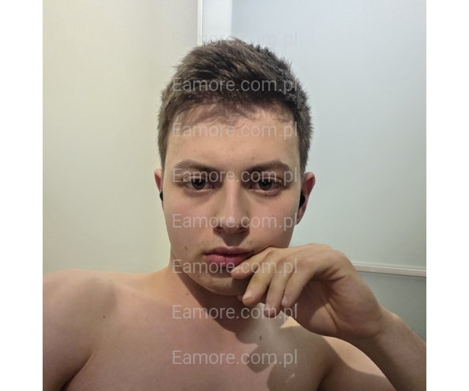 Pan szuka pani Gliwice