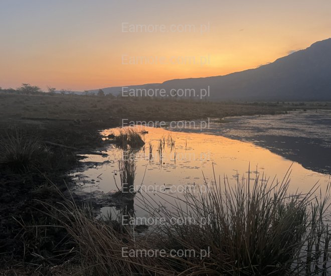 Pan szuka pani Mazowieckie