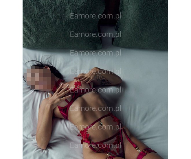 Pani szuka pana (komunikatory) Częstochowa