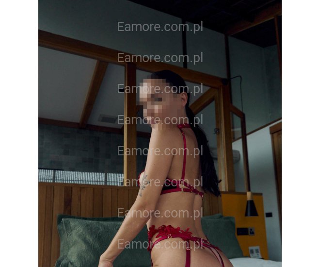 Pani szuka pana (komunikatory) Częstochowa