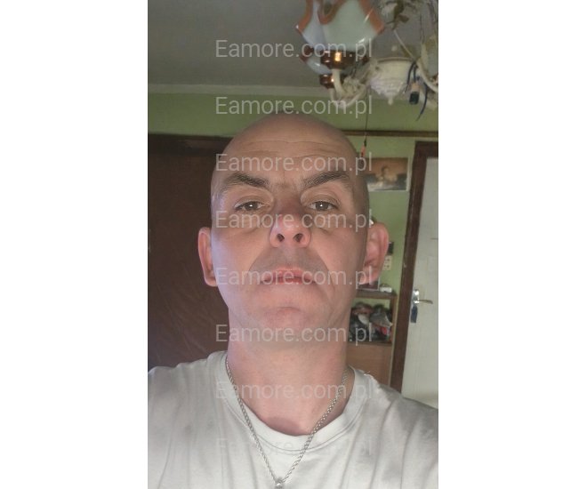 Pan szuka pani Szczecin