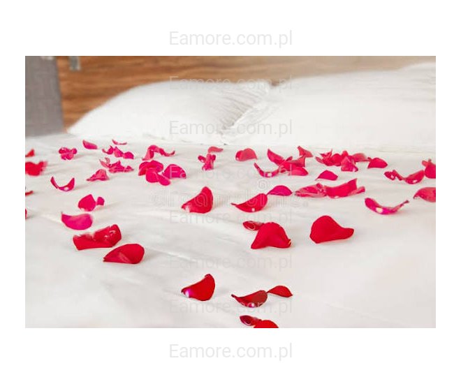 Pan szuka pani Katowice