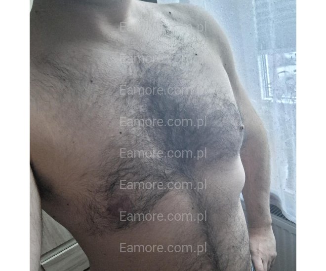 Pan szuka pani Katowice