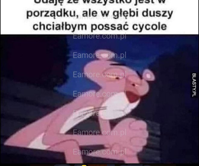 Pan szuka pani Rzeszów