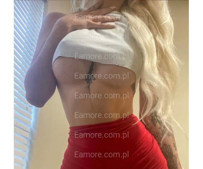 Pani szuka pana (komunikatory) Kielce