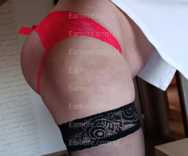 Pan szuka pana Wodzisław Śląski