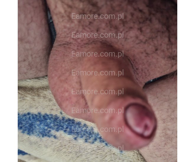 Pan szuka pana Nowy Sącz