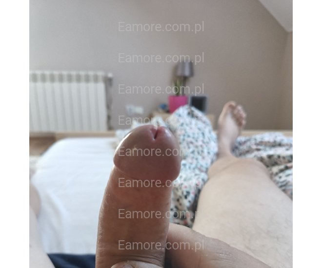 Pan szuka pani Mazowieckie