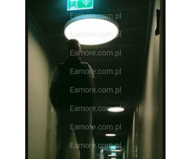 Pan szuka pani Warszawa