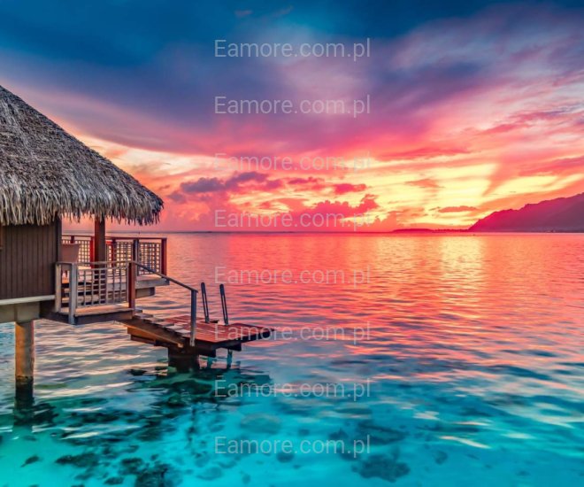 Pan szuka pani Lublin