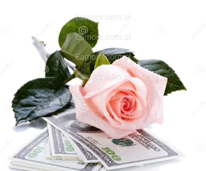 Pan szuka pani Katowice