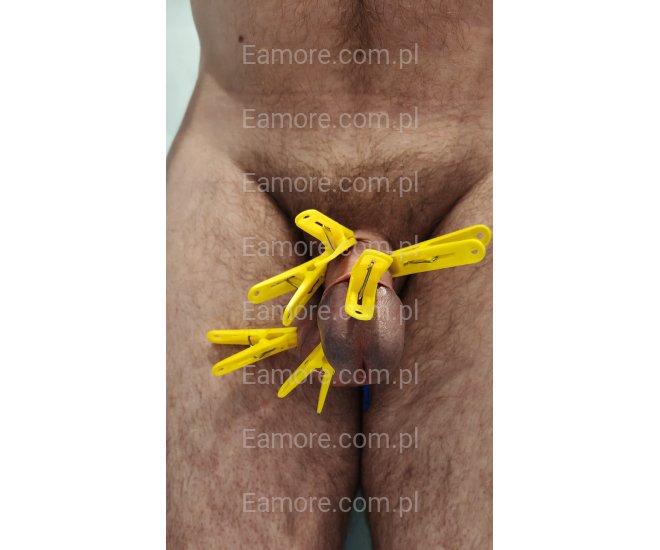 Niewolnik szuka mastera