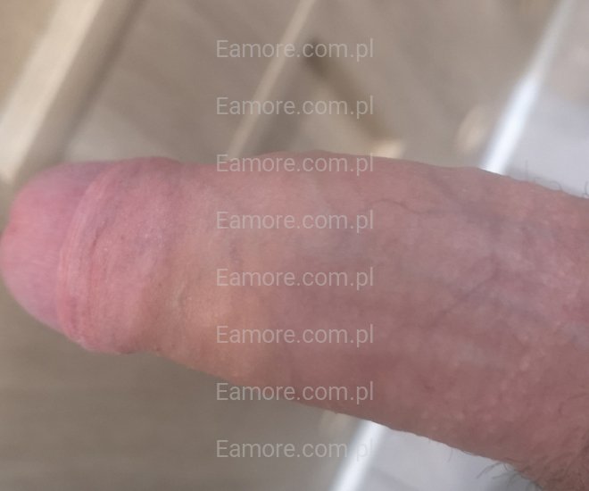 Pan szuka pani Podlaskie