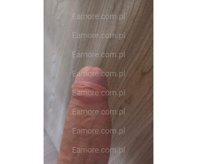 Pan szuka pani Podlaskie