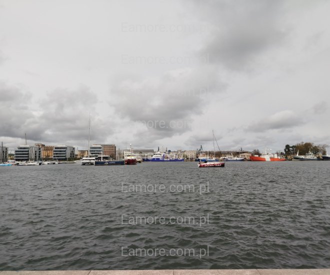 Pan szuka pani Czarnochowice