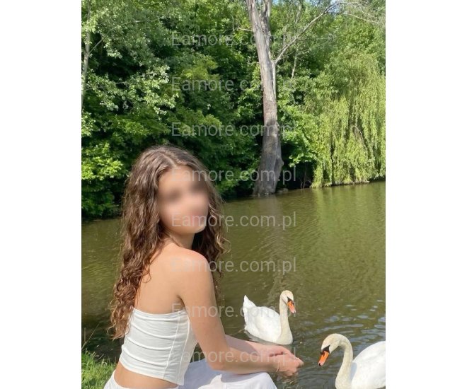 Pani szuka pana (komunikatory) Gdańsk