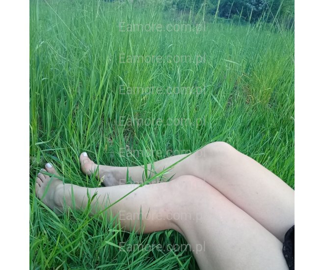 Pani szuka pana Wadowice