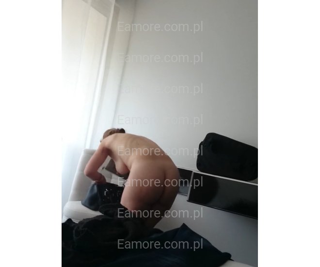 Para szuka pana Lesko