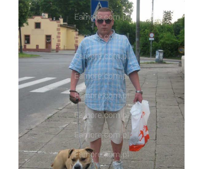 Pan szuka pani Cała Polska
