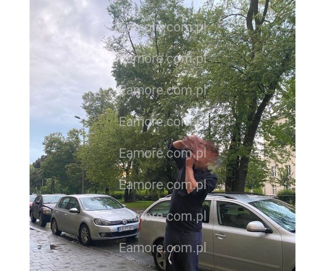 Pan szuka pani Poznań