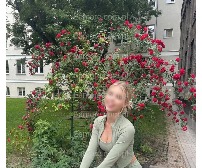 Pani szuka pana (komunikatory) Lubelskie