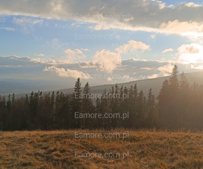 Pan szuka pani Rzeszów