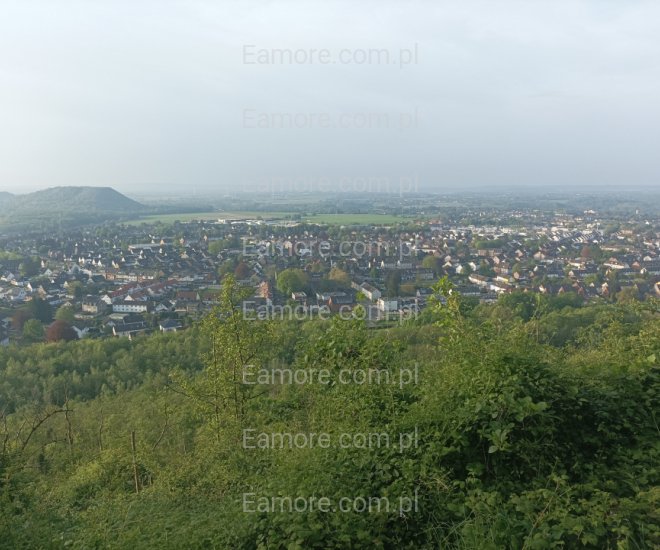 Pan szuka pani Jelenia Góra
