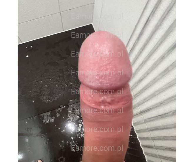 Pan szuka pani Częstochowa